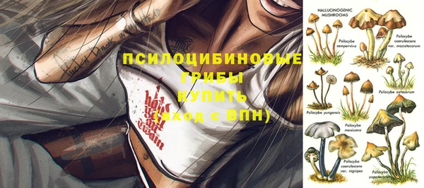 крисы Абаза