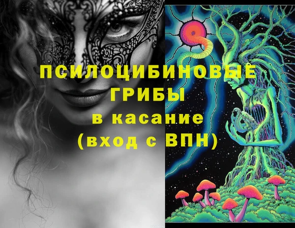 крисы Абаза