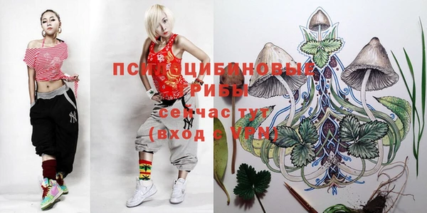 крисы Абаза