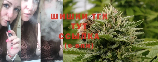 2c-b Алзамай