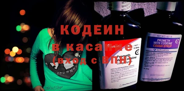 крисы Абаза